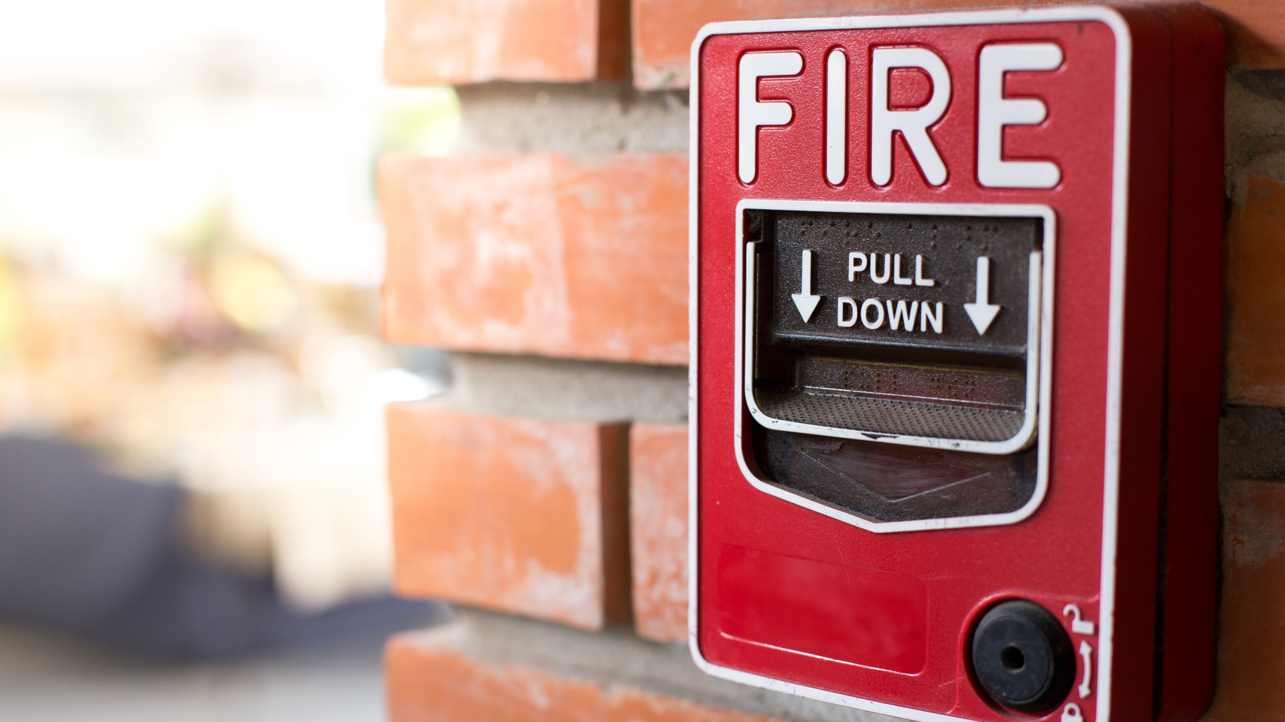 untitled design (31)