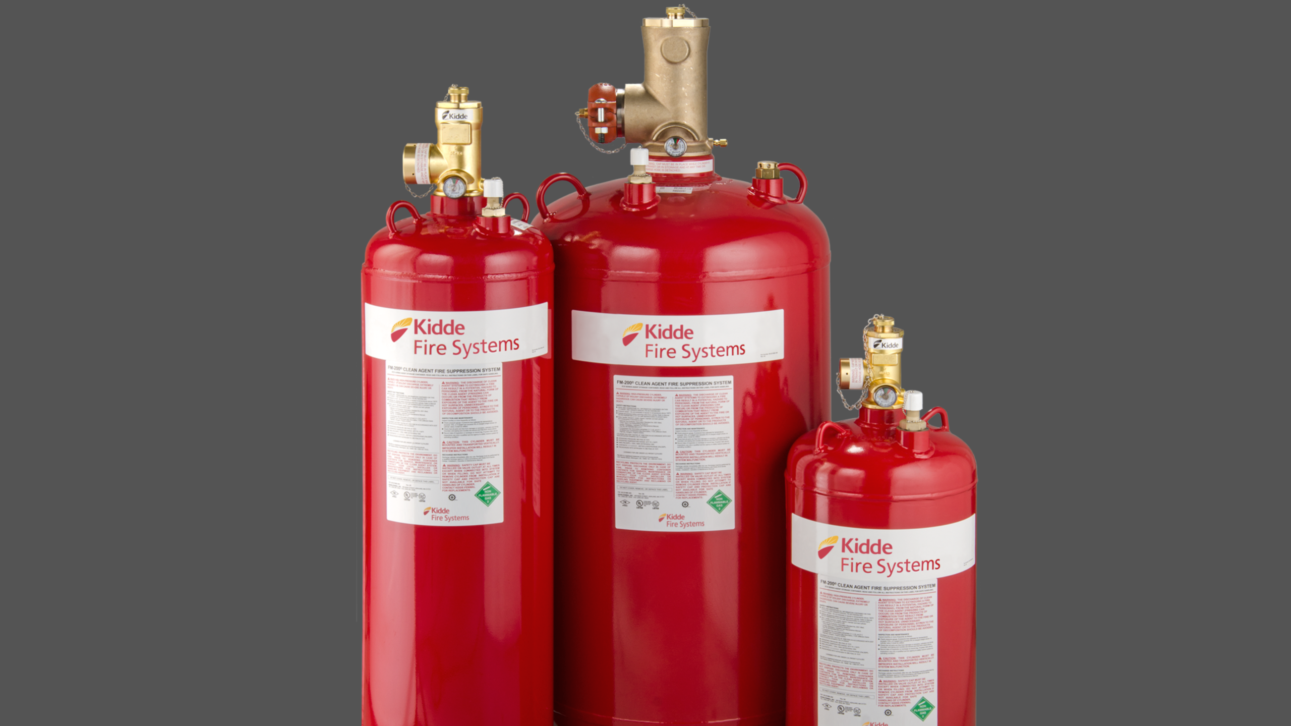 your paragraph text (12)