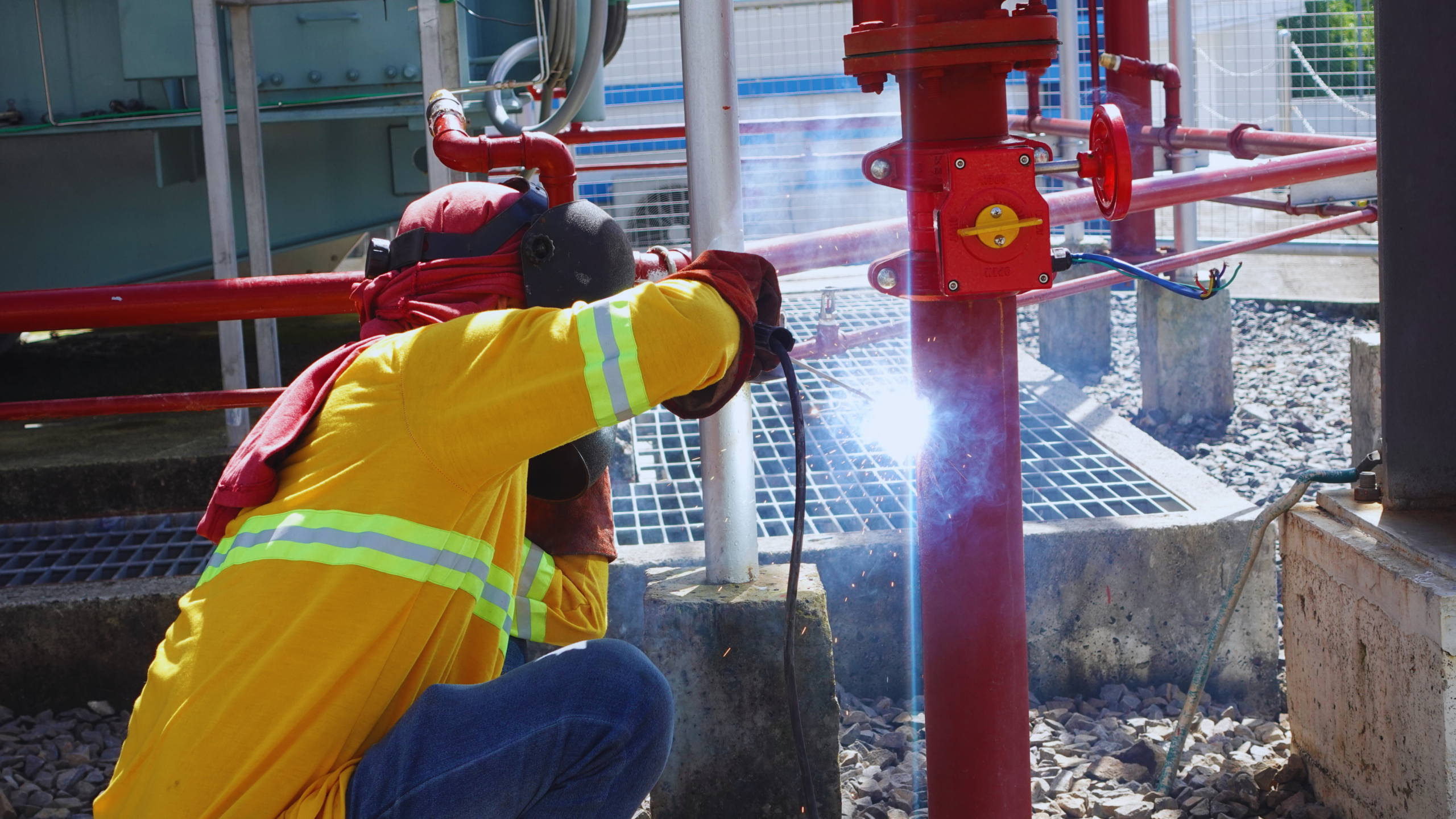 your paragraph text (13)