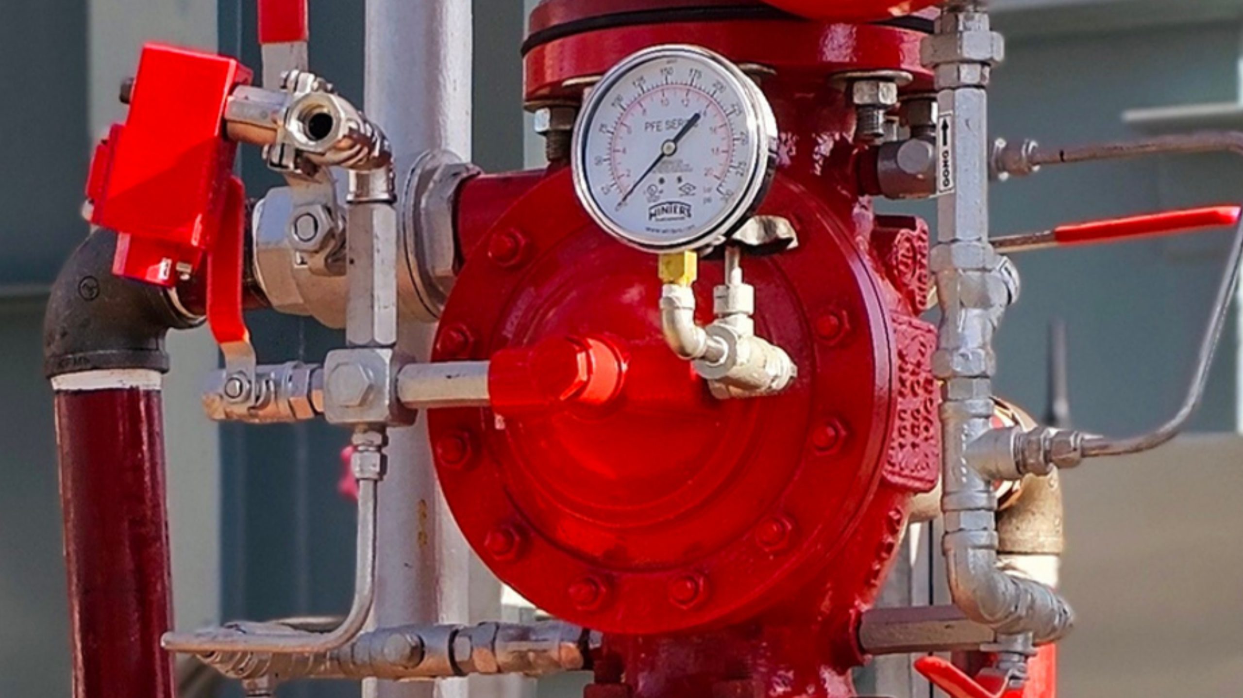 your paragraph text (5)