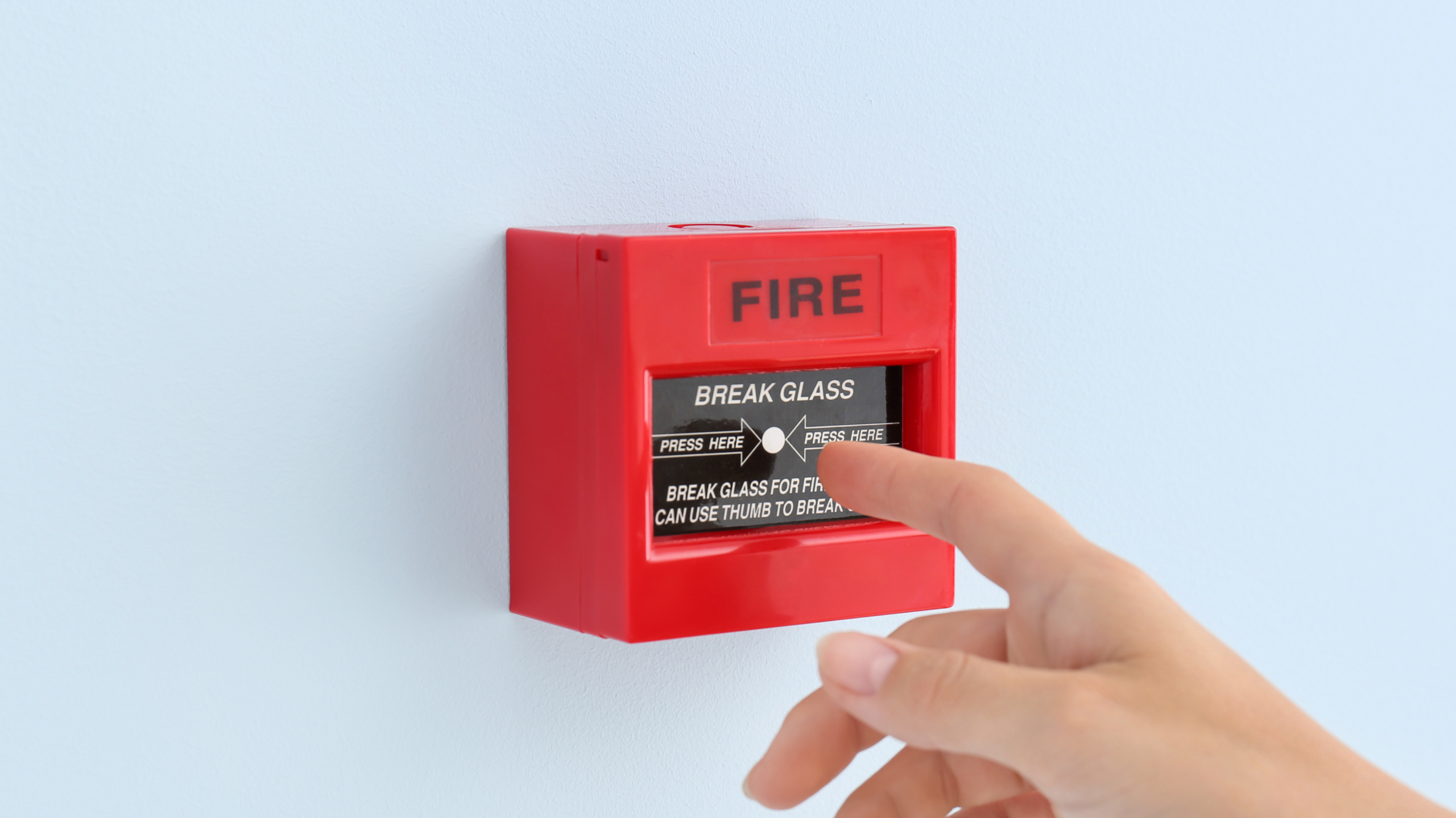 your paragraph text (7)